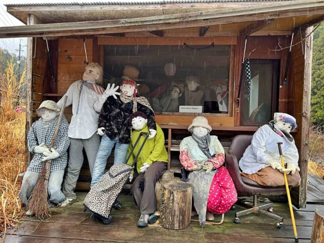 Bu köye gelenler gözlerine inanamıyor: Tüyler ürperten manzara! Hepsi yetişkin insan boyutlarında 37